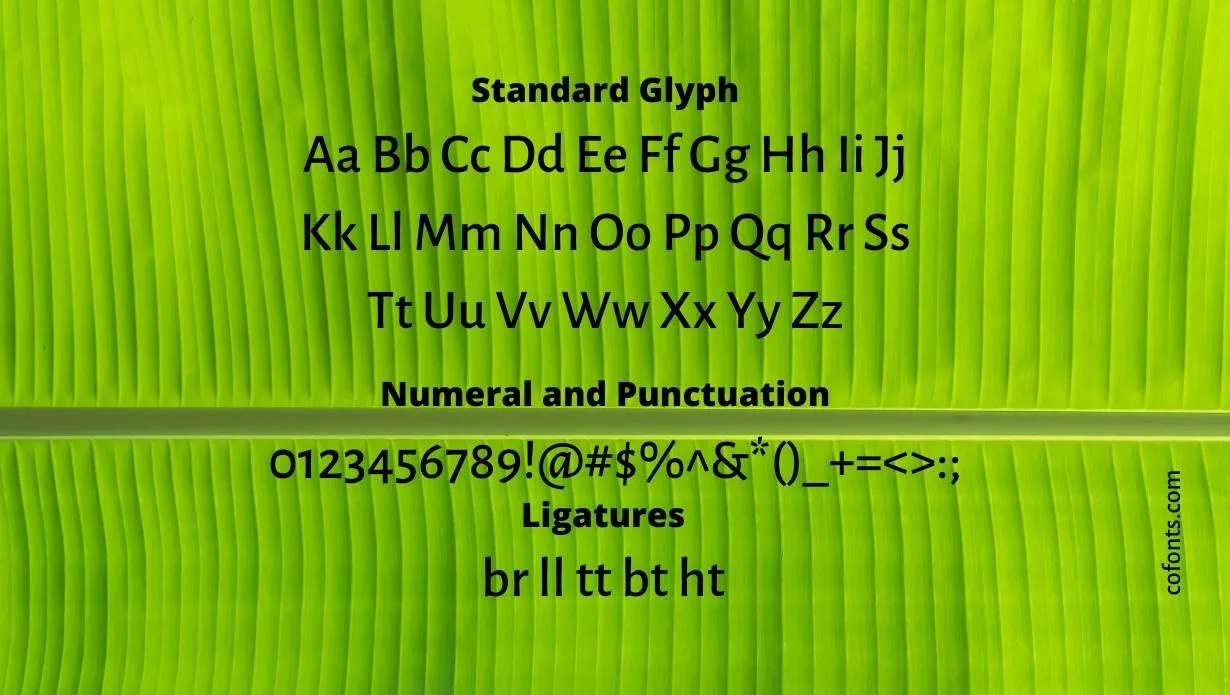 Alegreya Sans Font Free Download style variations