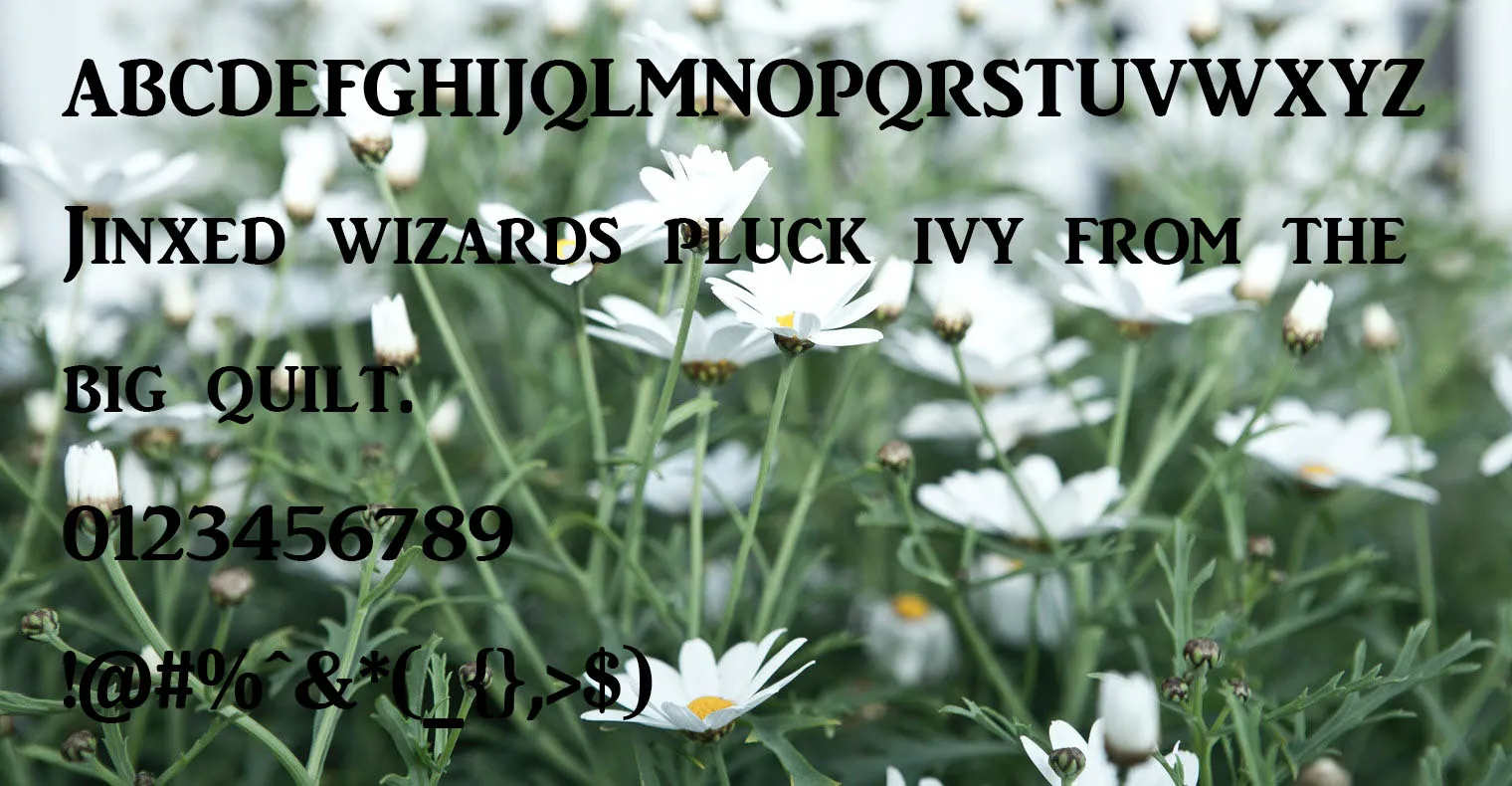 AR Julian Font Free Download style variations