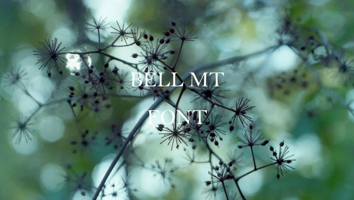 Preview of Bell MT Font Free Download