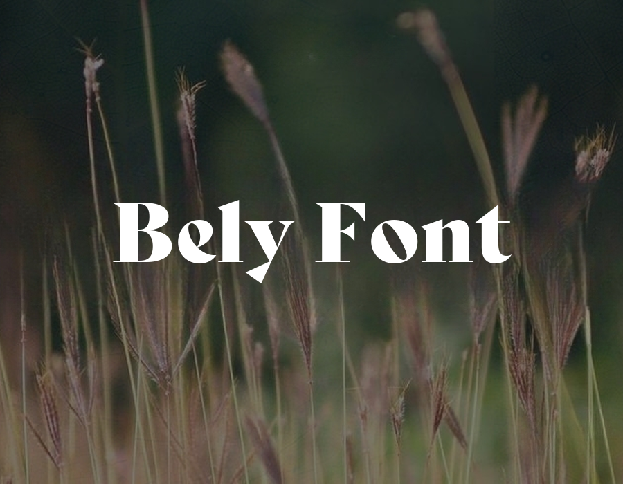Preview of Bely Font Free Download
