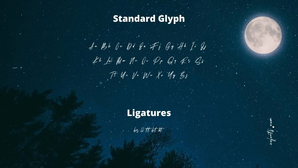 Bestro Font Free Download style variations