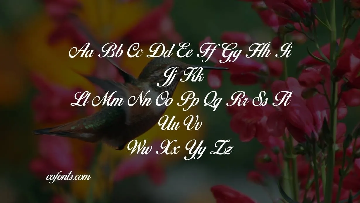 Birds of Paradise Font Free Download style variations