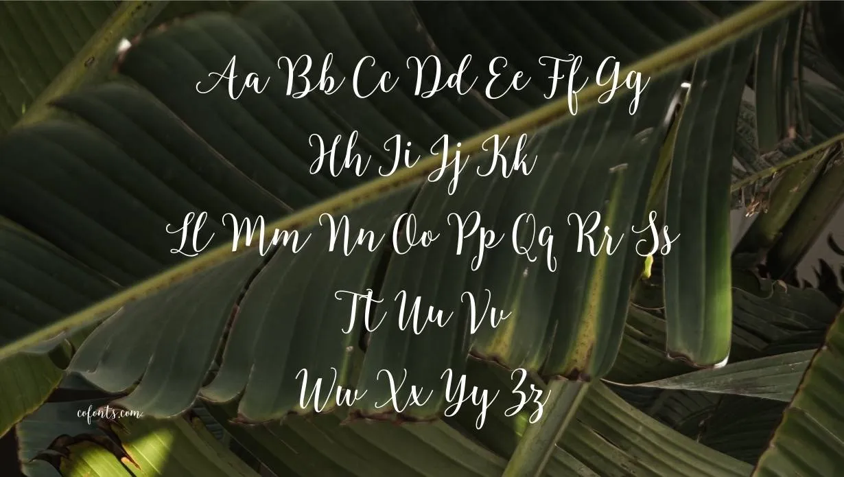 Blingtastic Font Free Download style variations