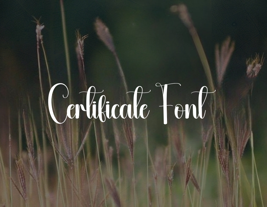 Preview of Certificate Font Free Download