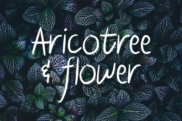 Cintaku Font Free Download style variations