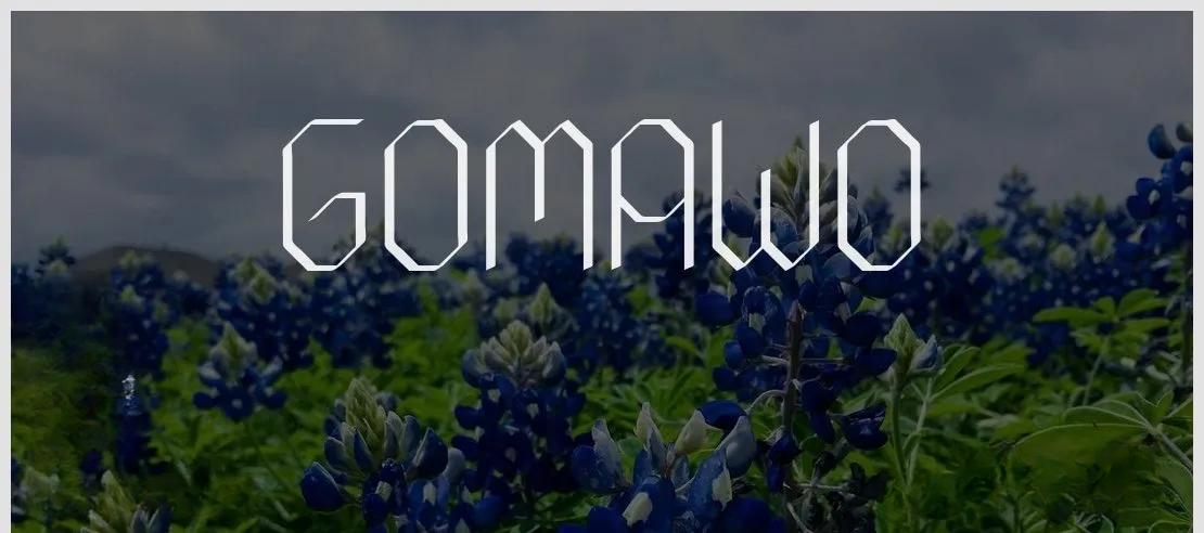Preview of Gomawo Font Free Download