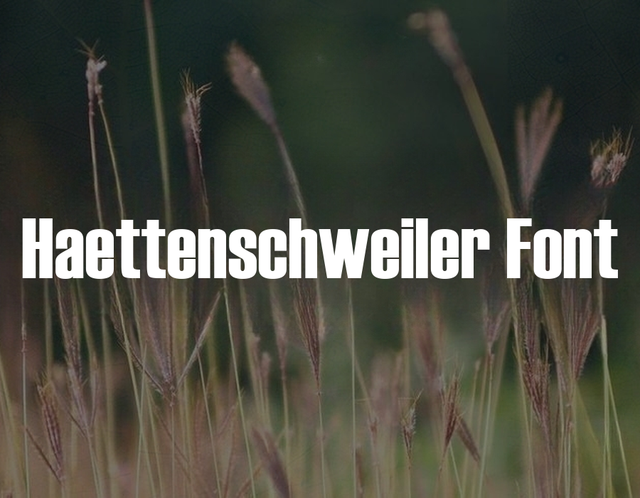 Preview of Haettenschweiler Font Free Download