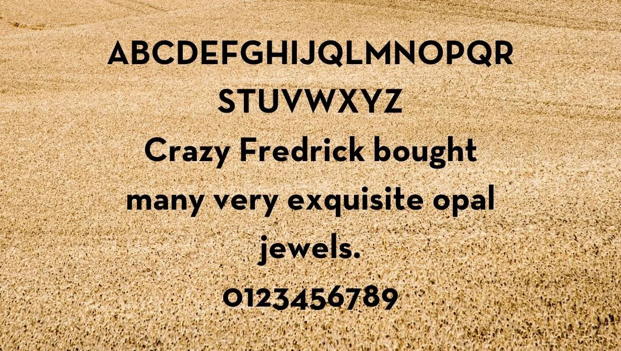 Neutraface Text Font Free Download style variations