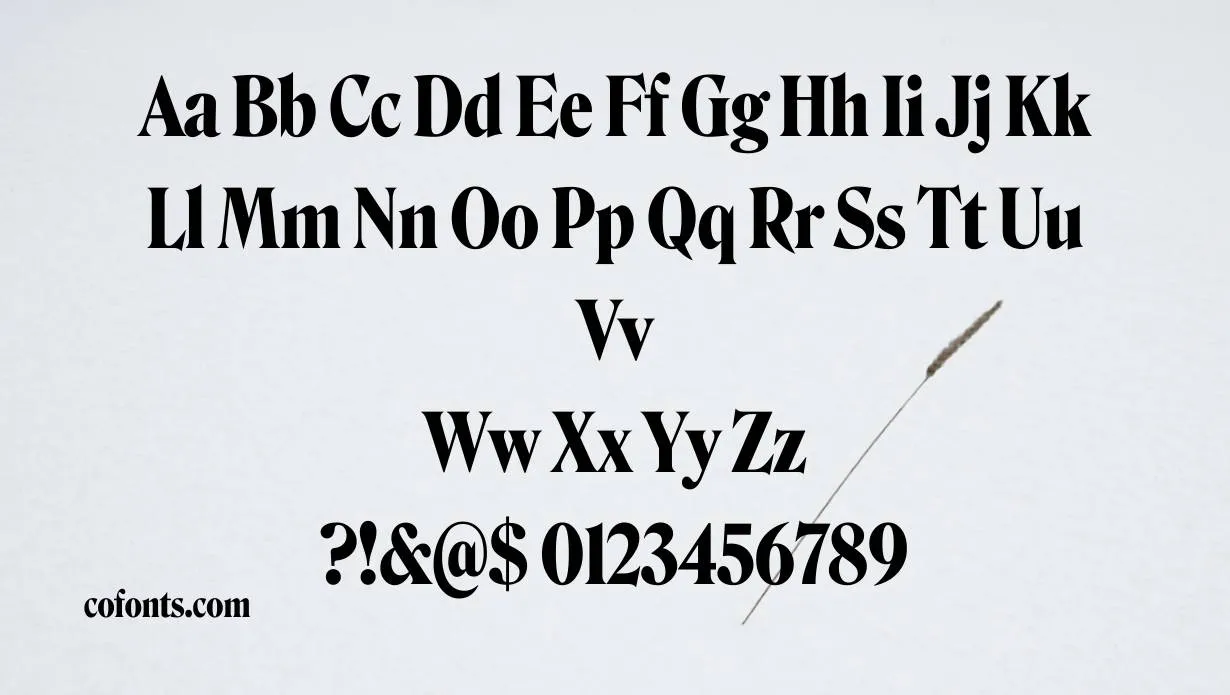 Roslindale Font Free Download style variations