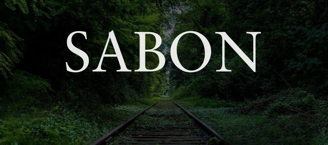 Preview of Sabon Roman Font