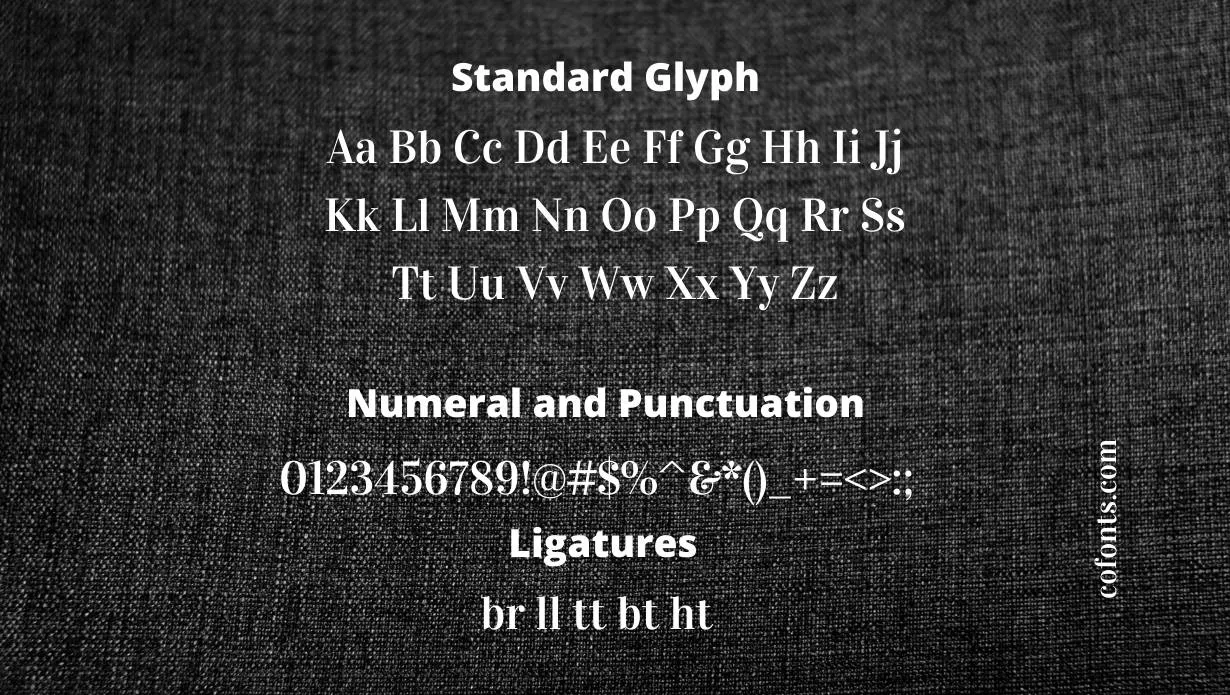 Vidaloka Font Free Download style variations