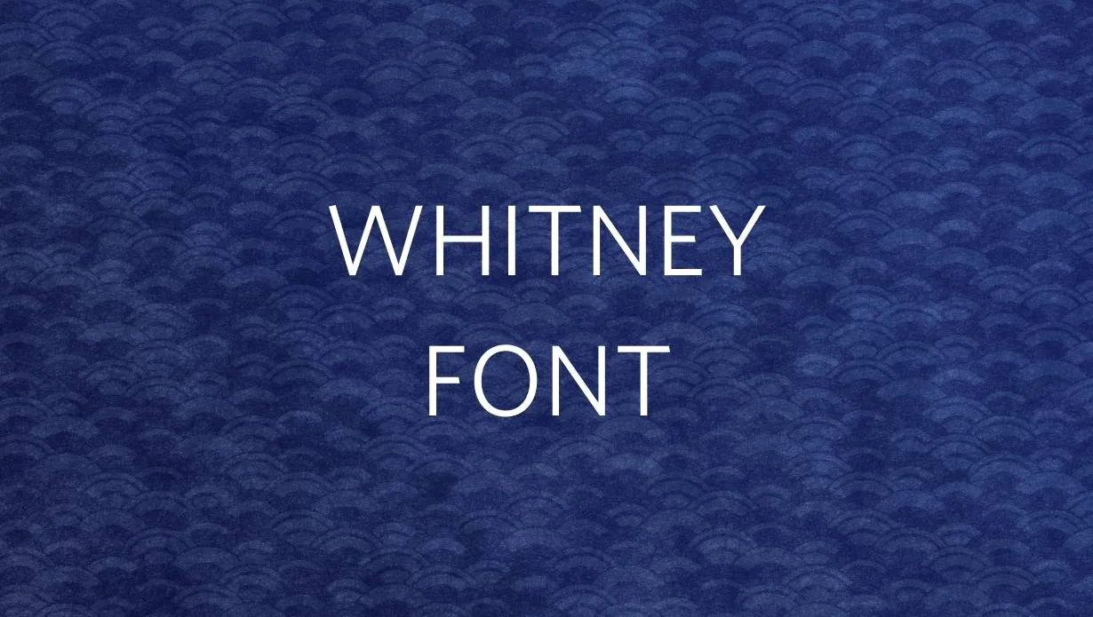 Preview of Whitney Font Free Download