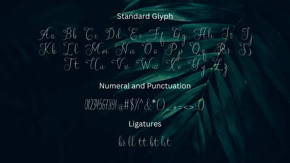 Yolanda Font style variations