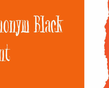 Synonym Black Font