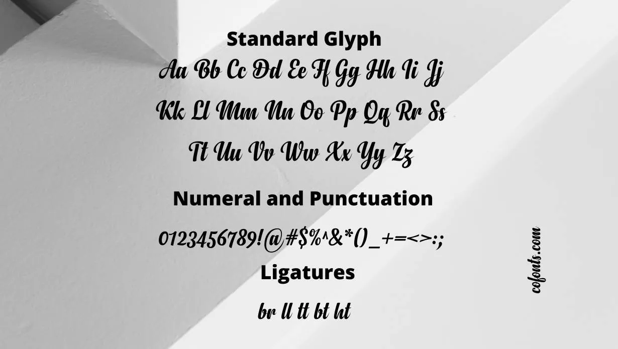 Anydore Font Family View