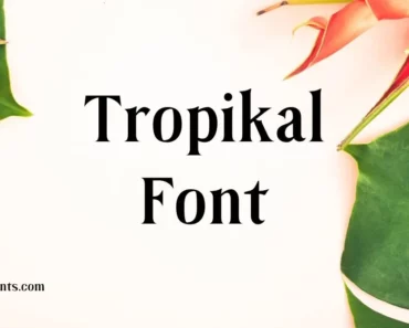Tropikal Font