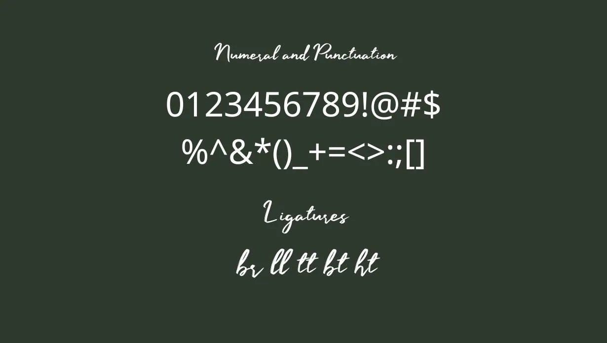 Manyland Font Family View